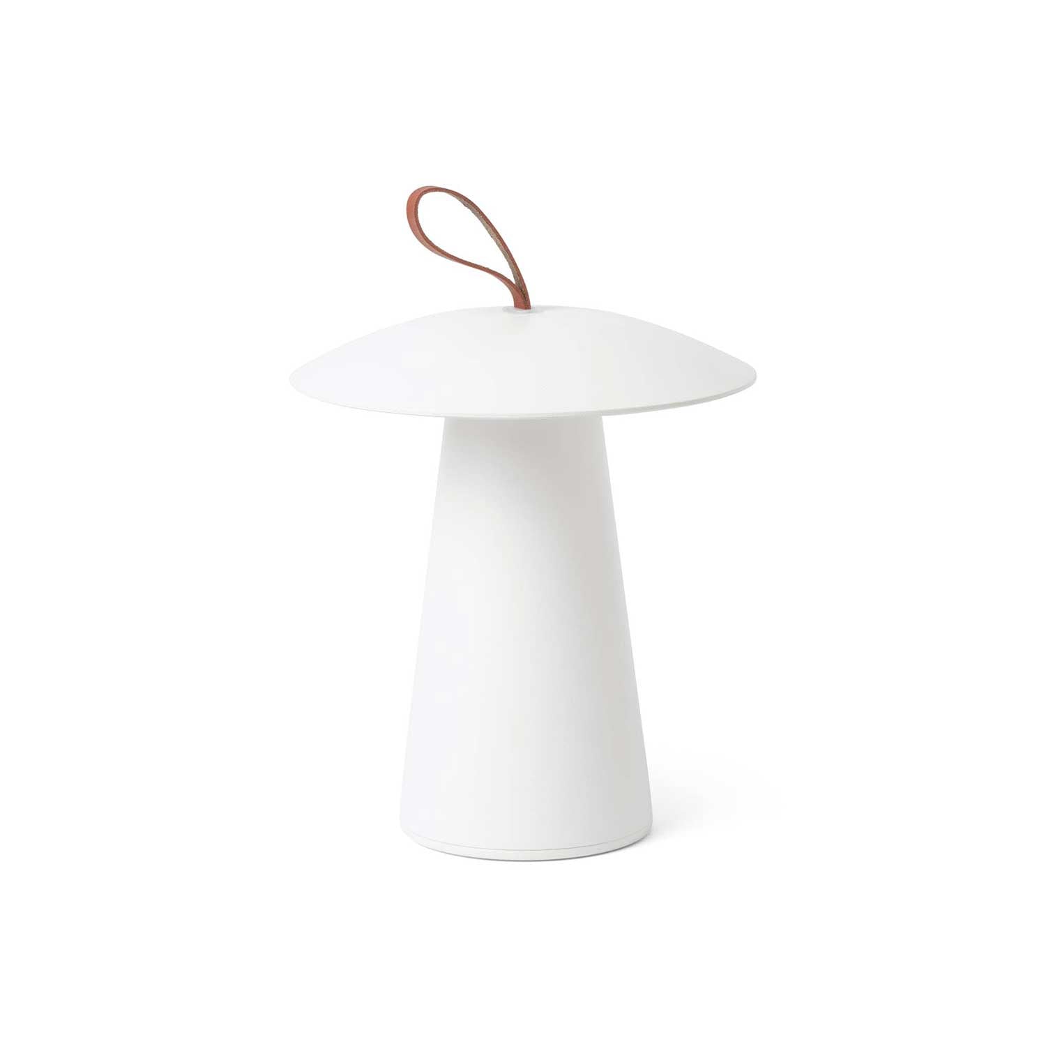 Task - Design mushroom lamp for outdoor use