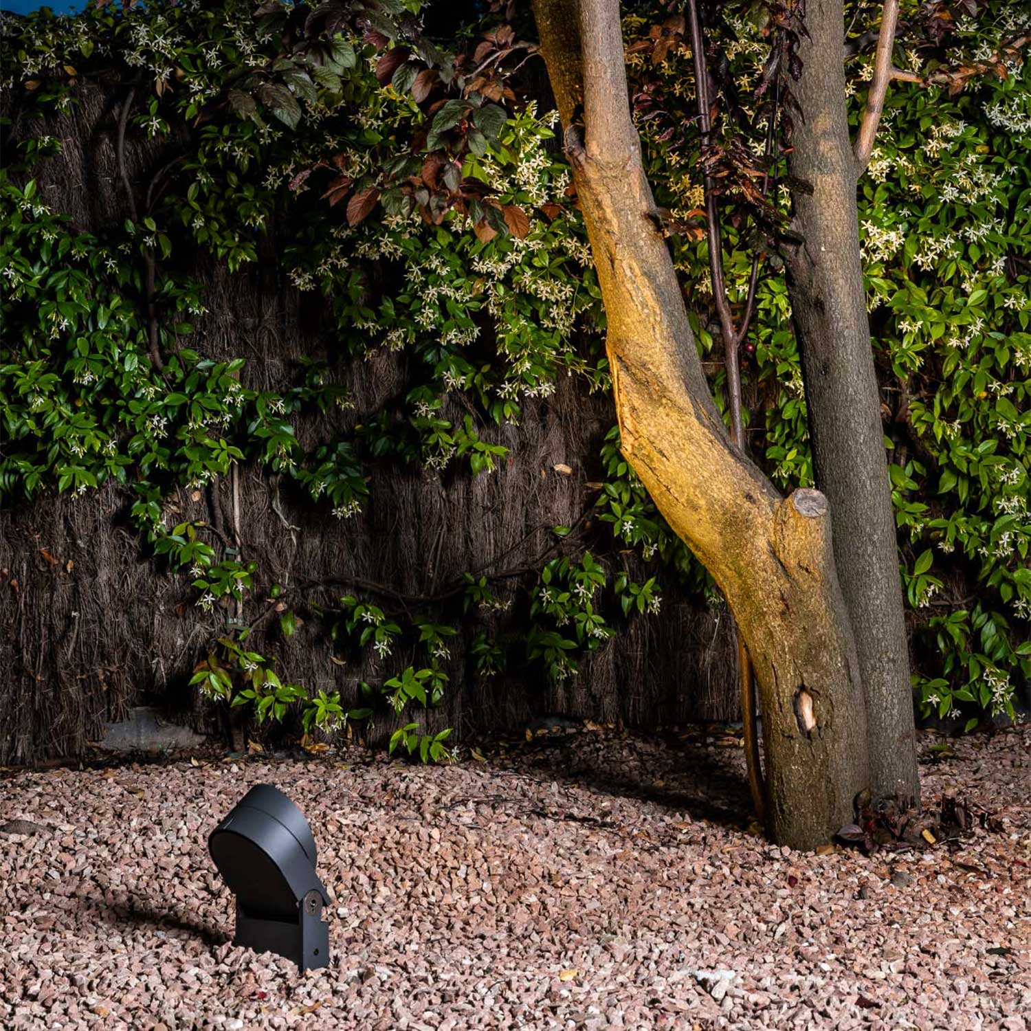 Muur - Leistungsstarker LED-Außenwandstrahler