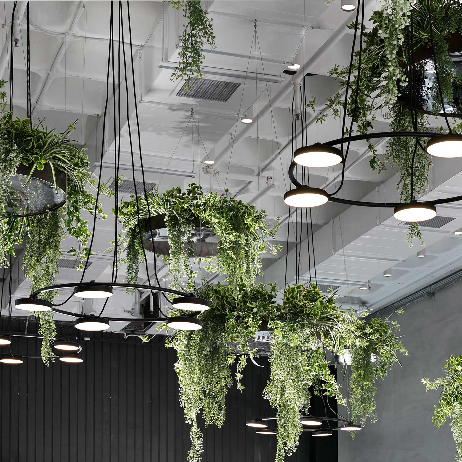 Aro - Contemporary entry hall chandelier with dimmable LED