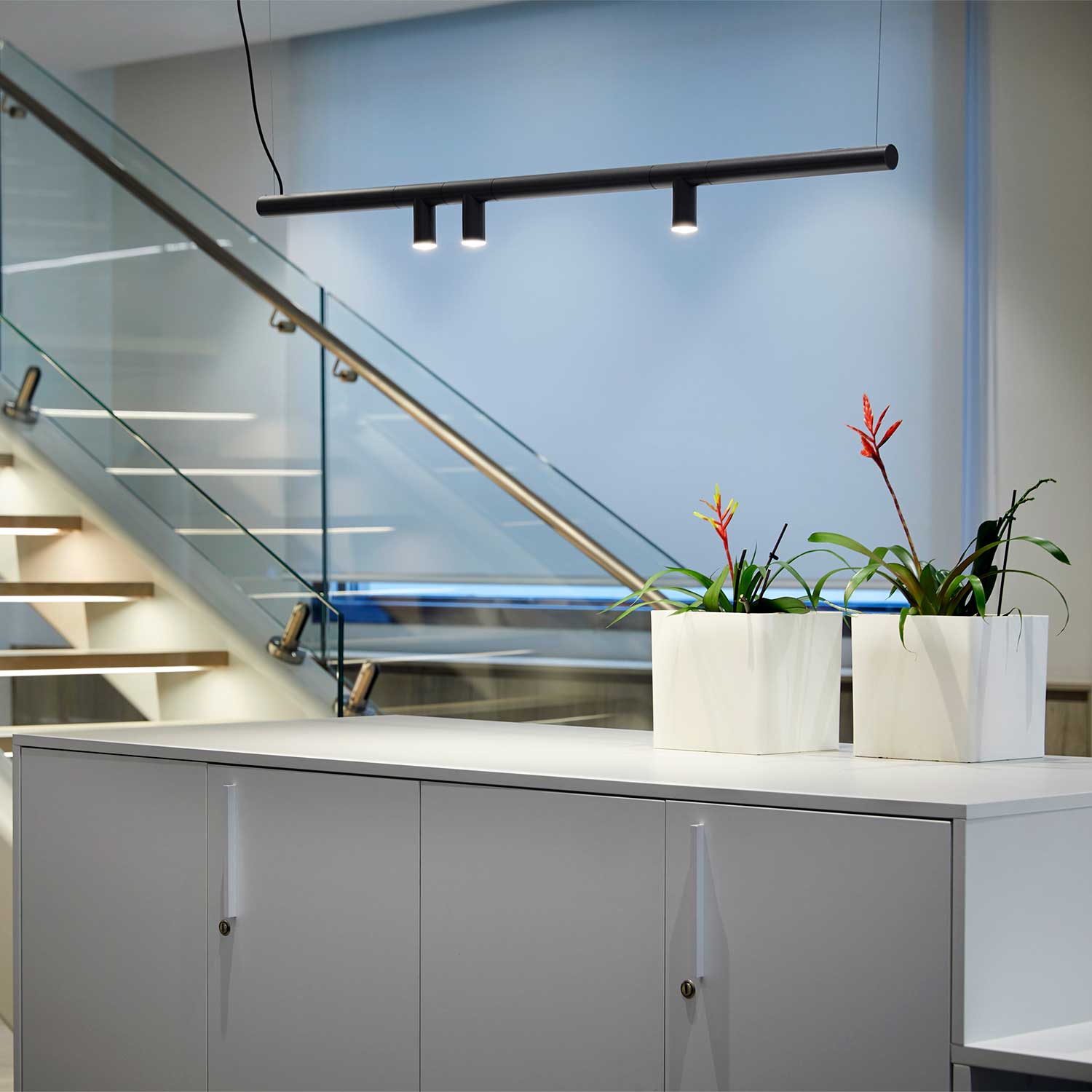 Morse - Suspension led design pour salle à manger