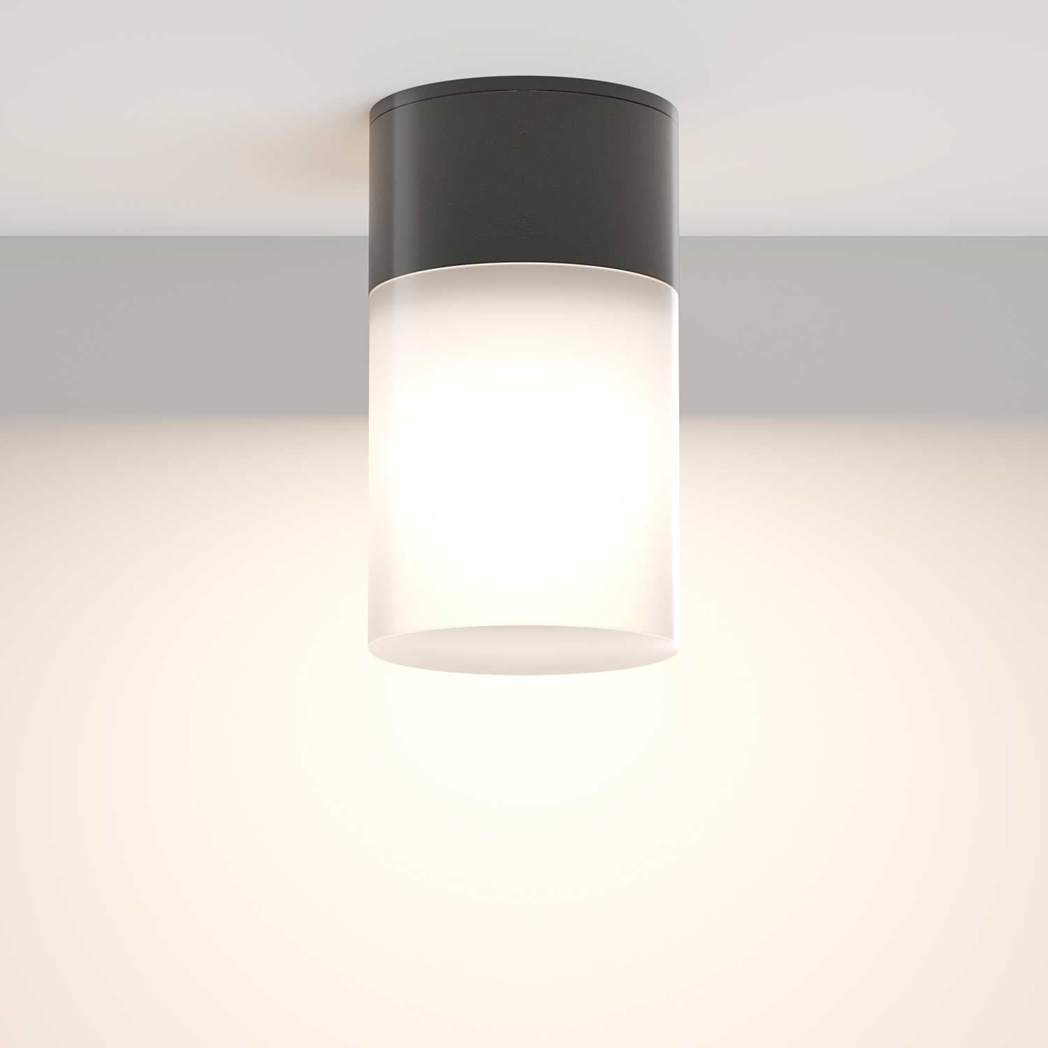 Willis - Modern design outdoor ceiling light