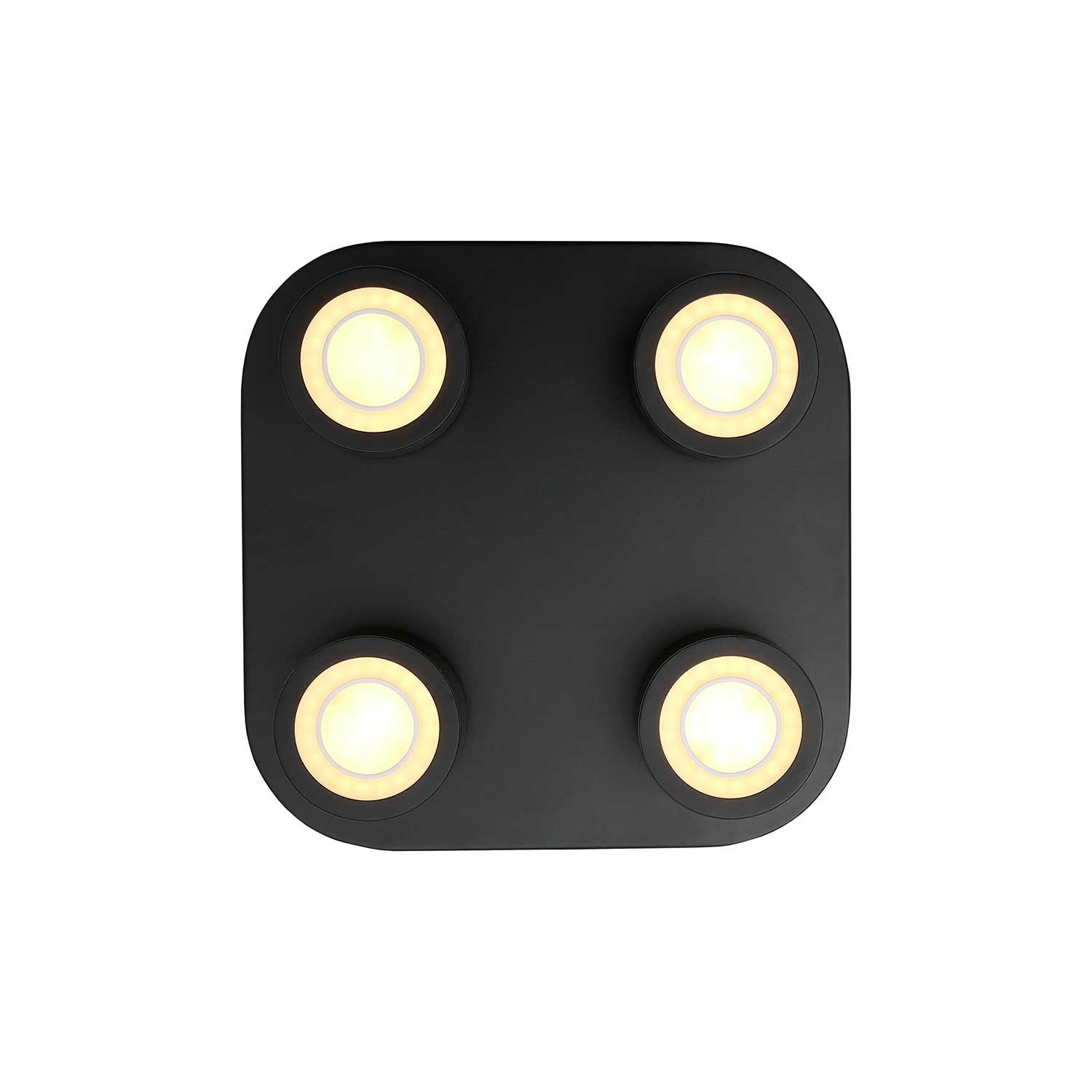 Clyde - Plafonnier LED 4 spot noir en acier design contemporain
