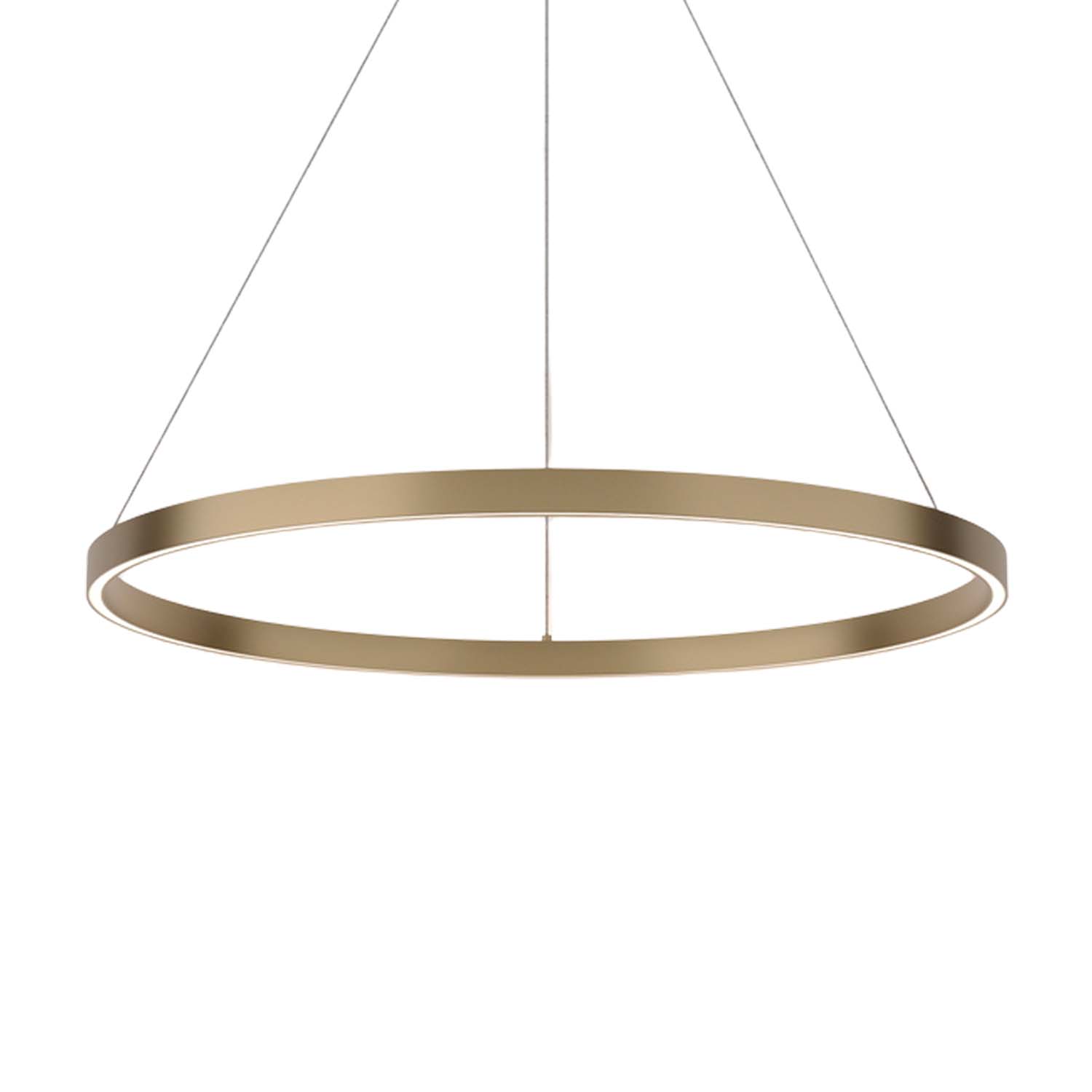 RIM - Lámpara colgante anillo dorado o negro, LED integrada