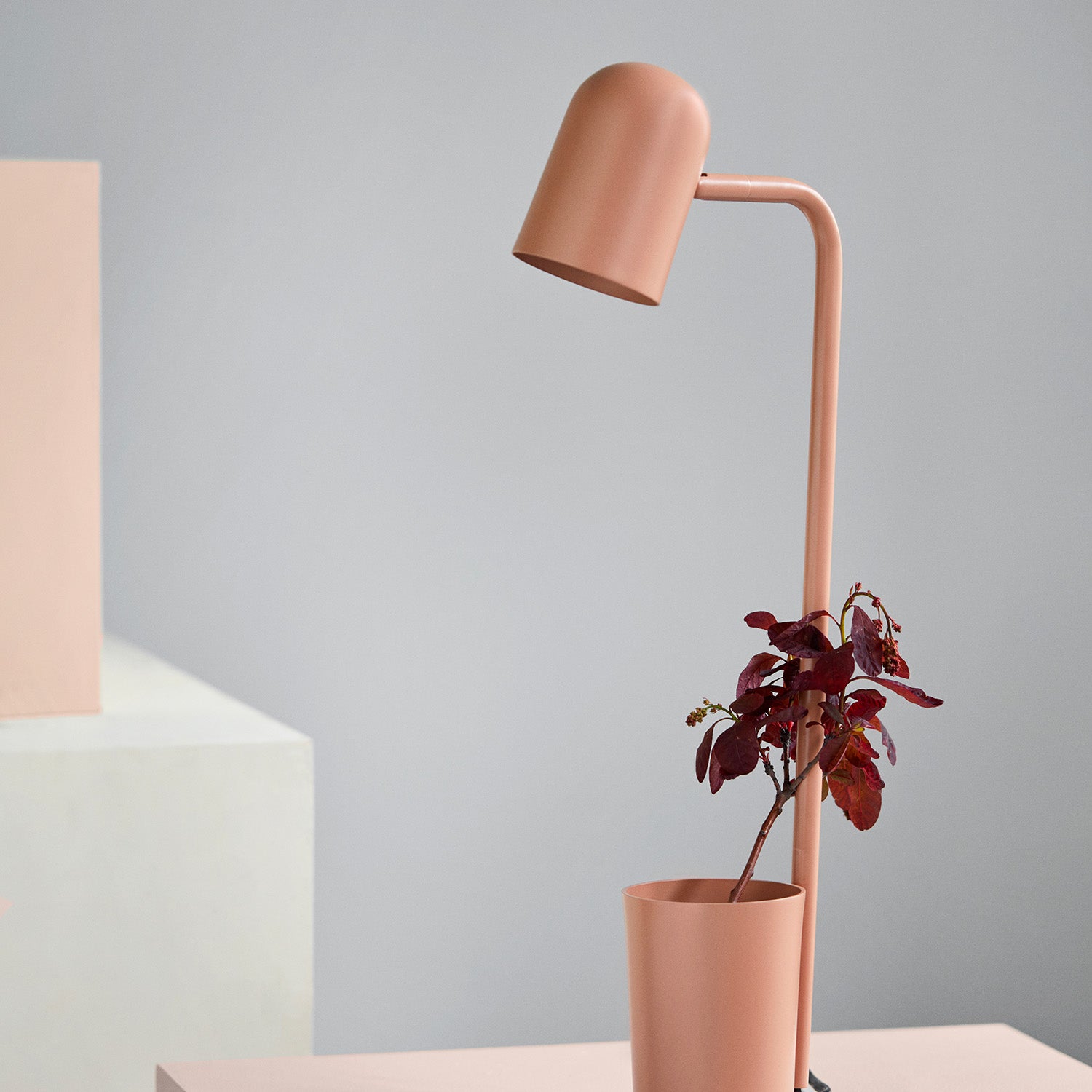 BUDDY Table - Lampe de bureau pot à crayons design