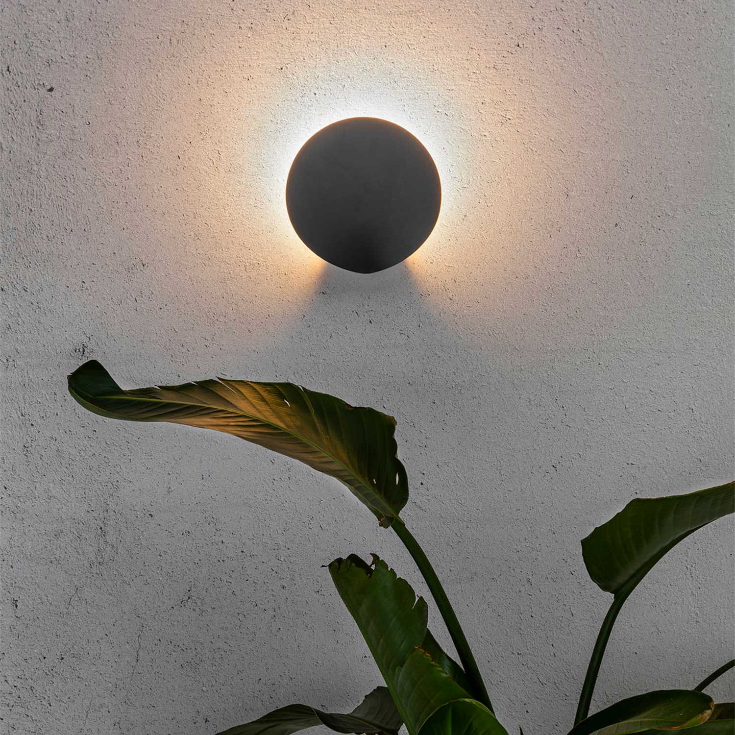 Lotus - Applique murale led extérieur design minimaliste