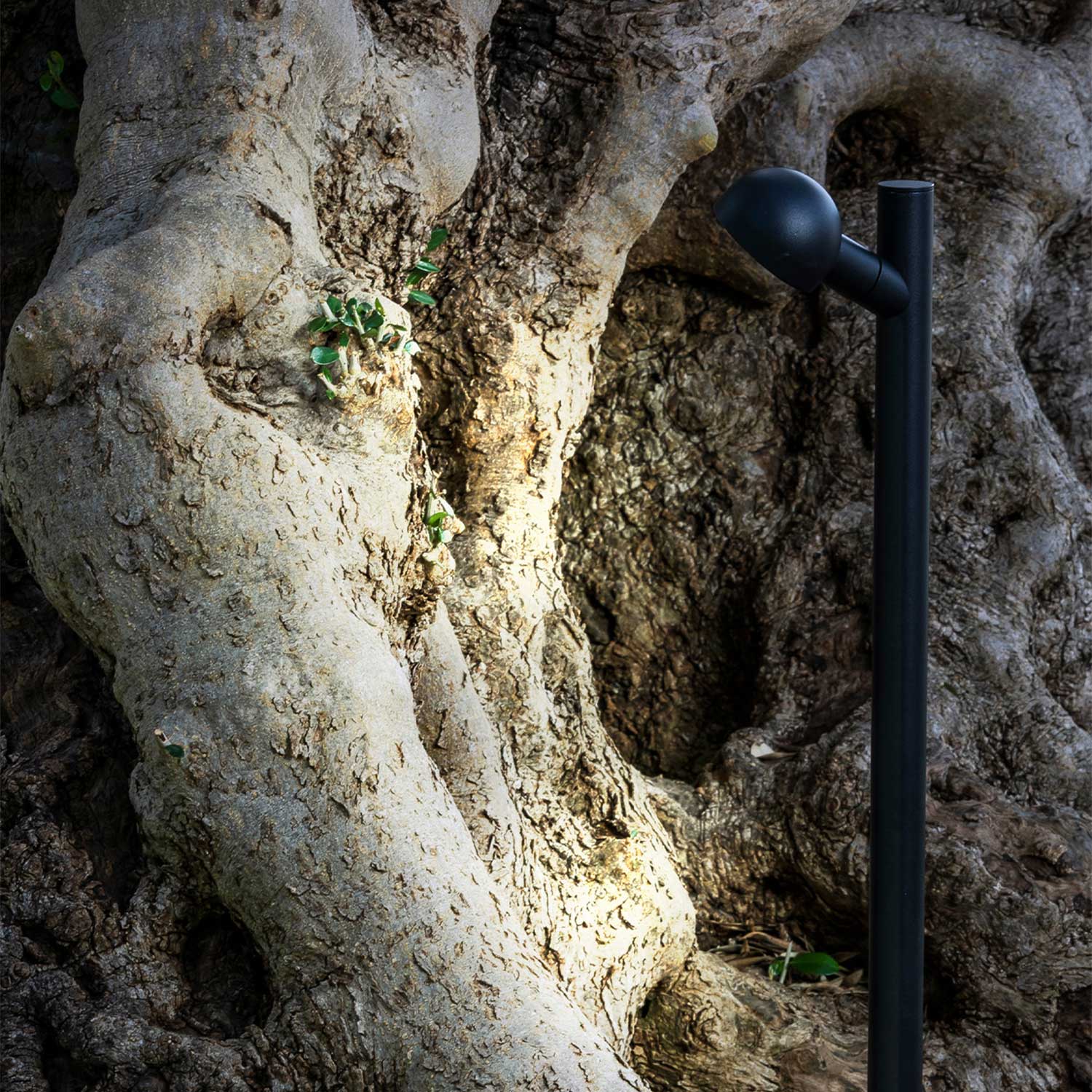 Brot - Lampe piquet led pour jardin contemporain