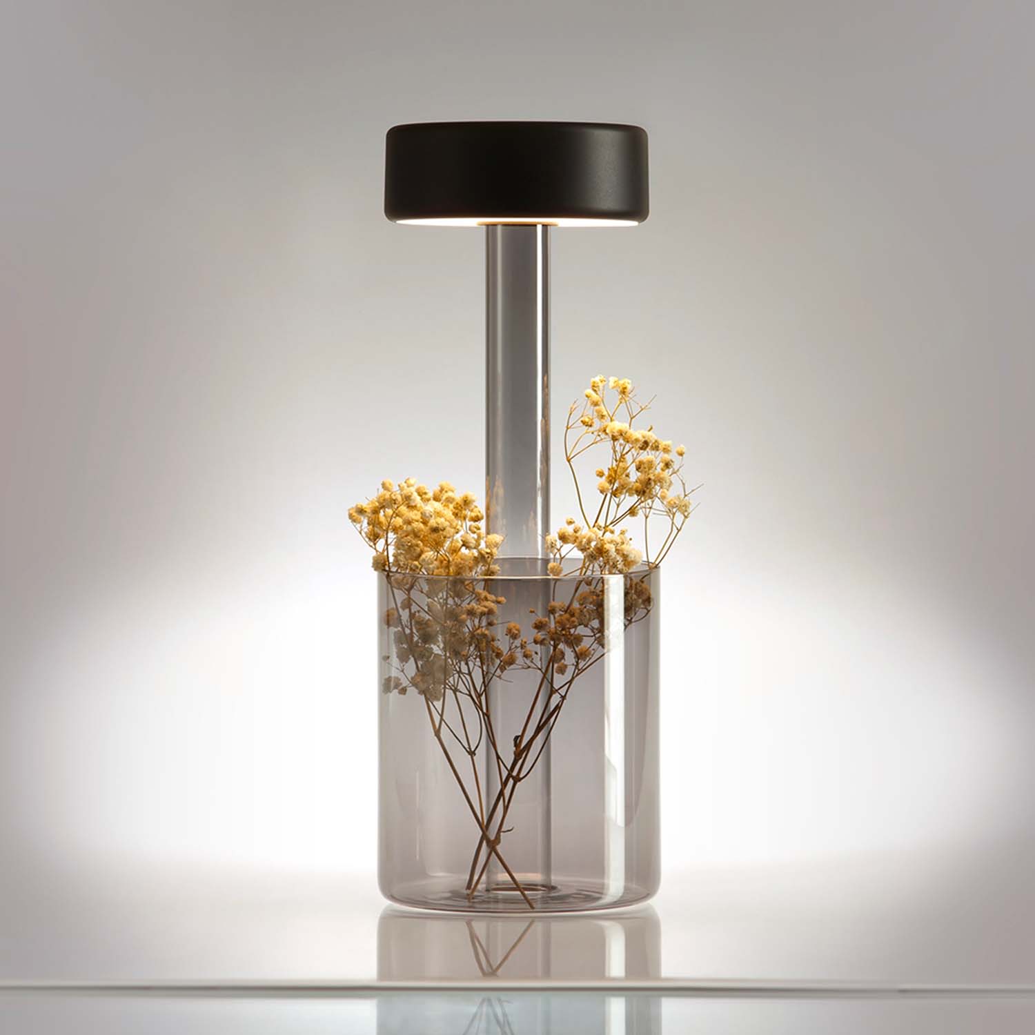 AI - Rechargeable portable lamp, integrated flower pot