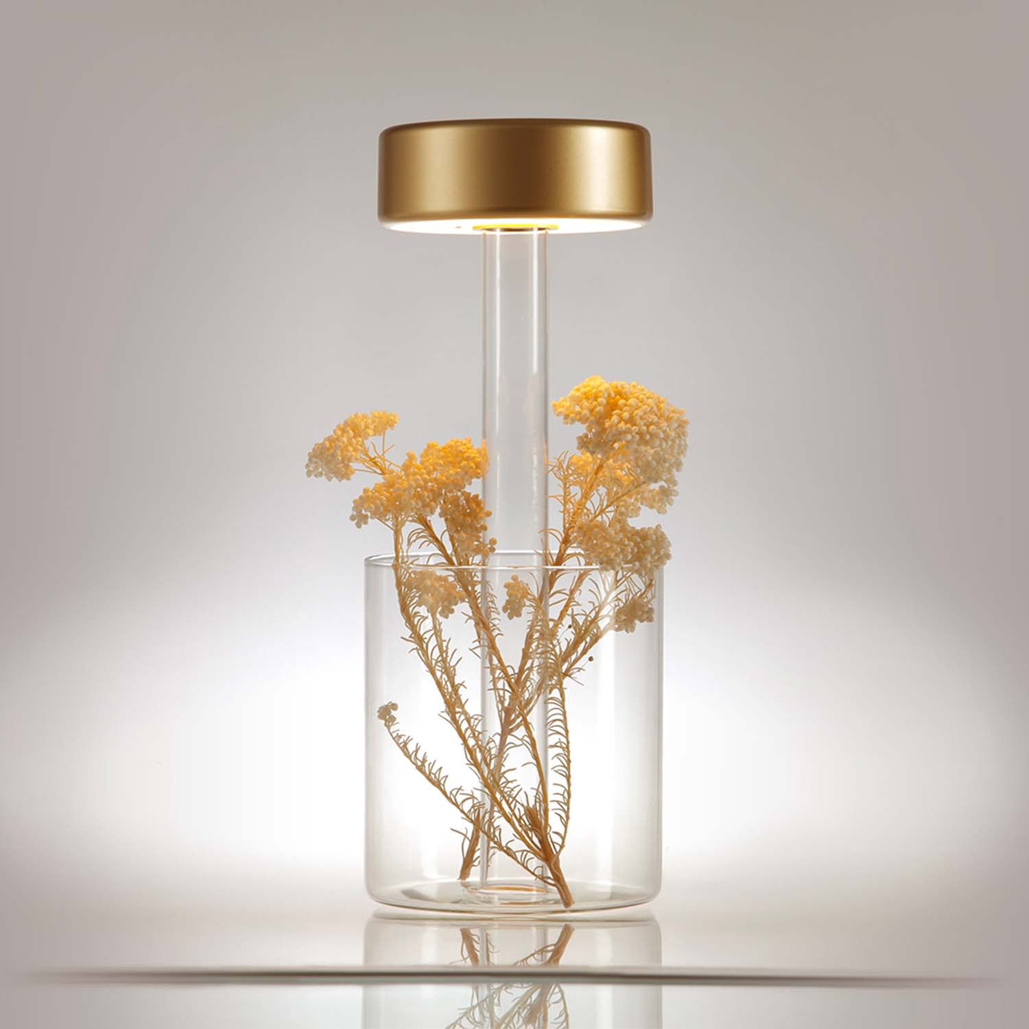 AI – Wiederaufladbare tragbare Lampe, integrierter Blumentopf