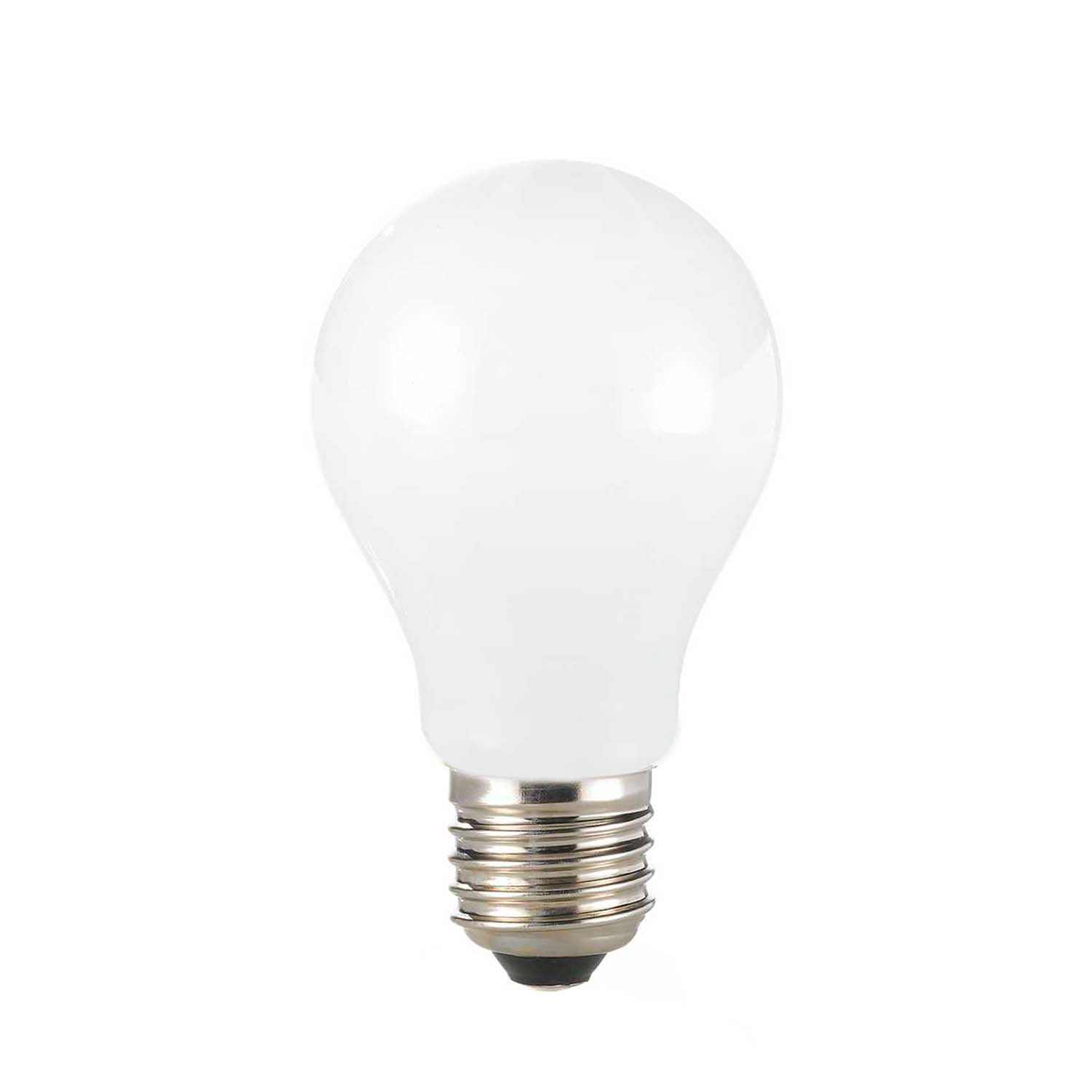 Lot de 10 ampoules E27 LED opaque