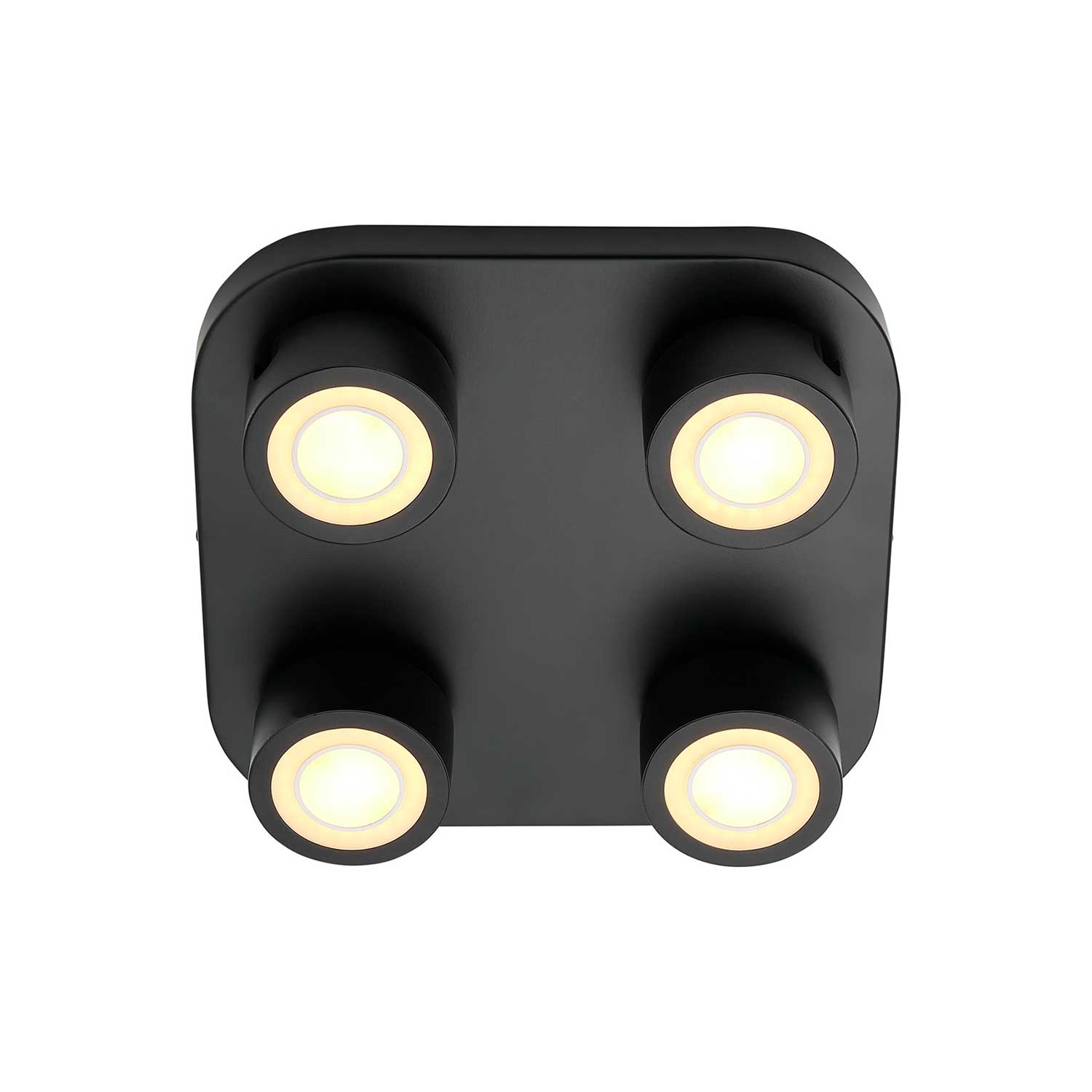 Clyde - Plafonnier LED 4 spot noir en acier design contemporain