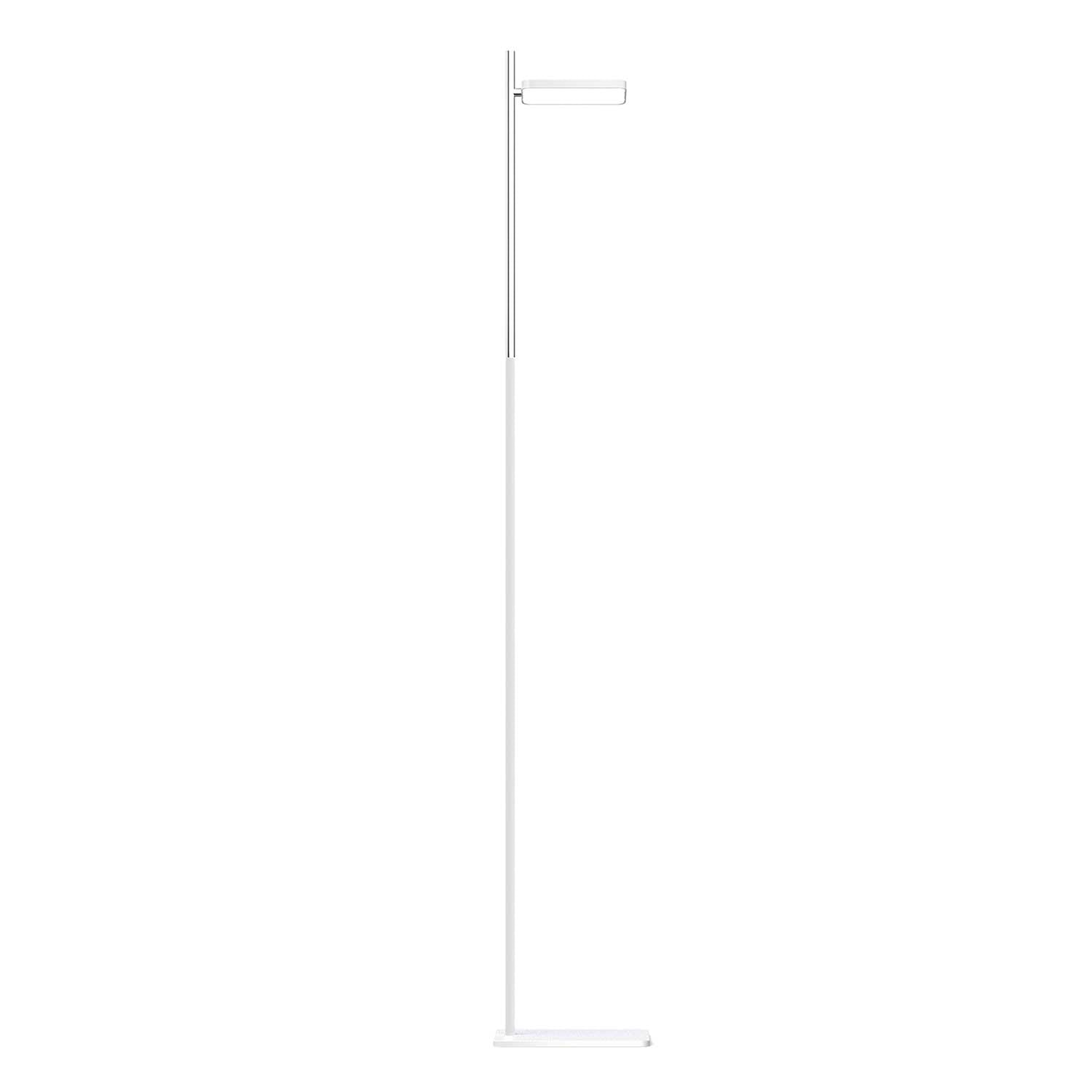 Talia - Lampadaire LED de bureau design contemporain