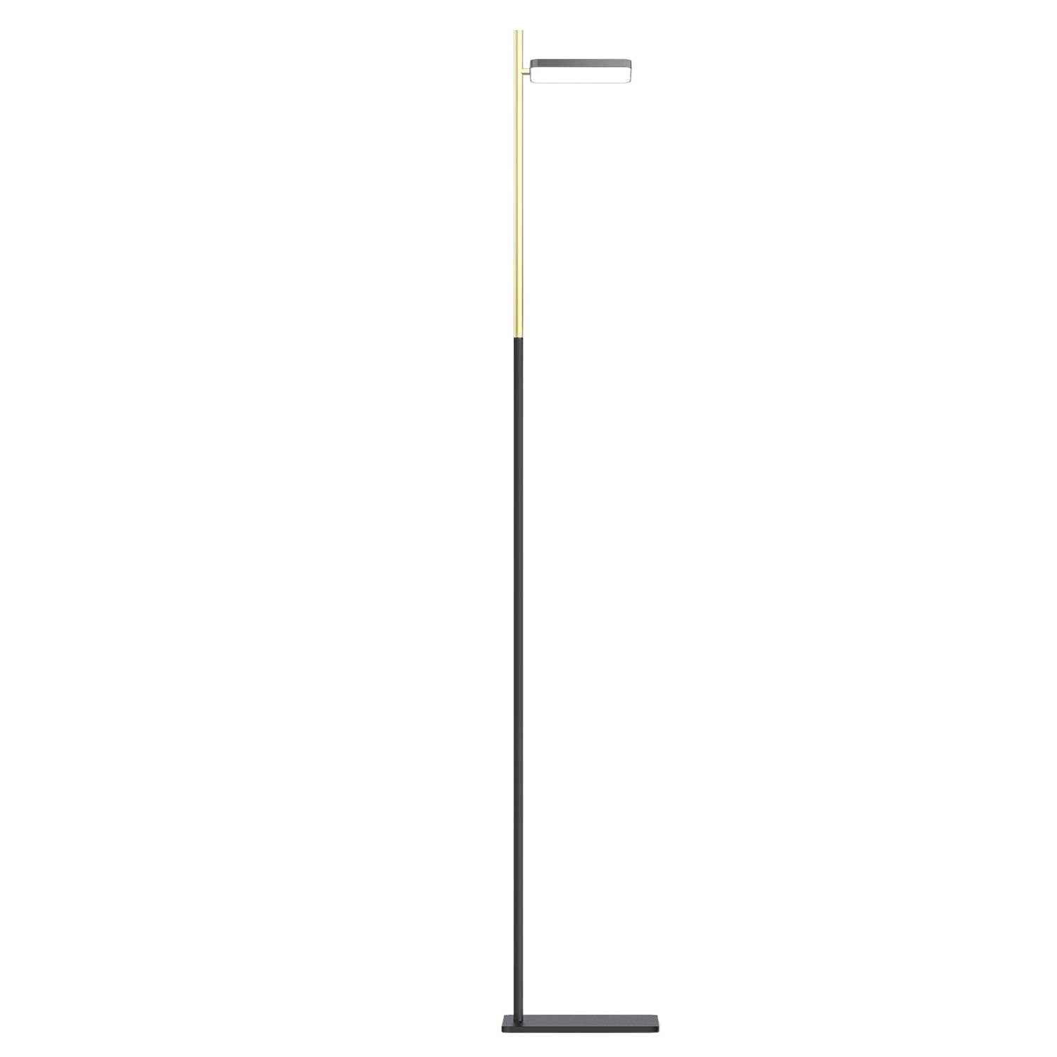 Talia - Lampadaire LED de bureau design contemporain